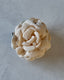 ROSE KLEMME